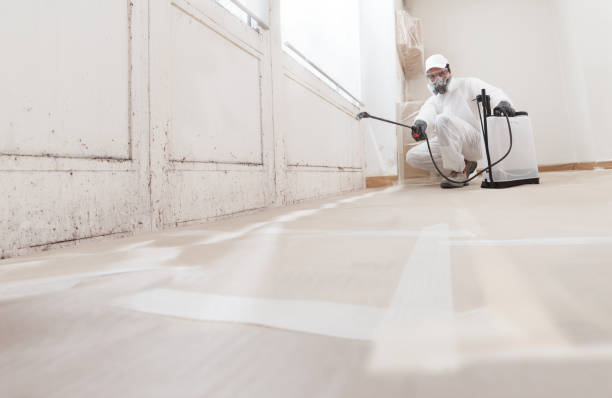 24/7 Emergency Crawl Space Mold Removal experts in Delaplane, VA